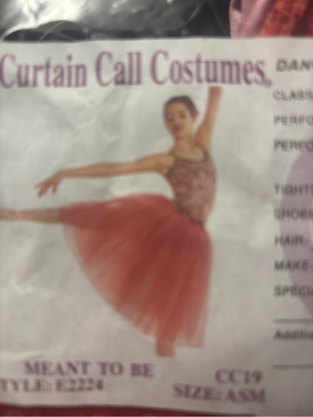 Curtain Call Costumes women’s Pink/burgundy Tulle Ballet Dress
